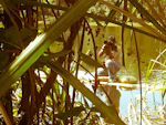 Another snapshot from Jibu's archive