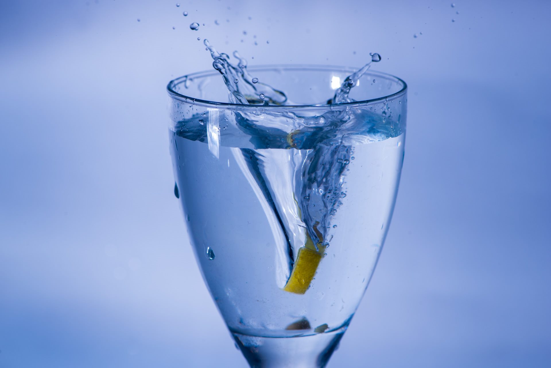 Macro photograph