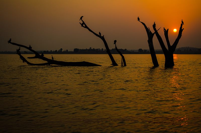 Nature photograph