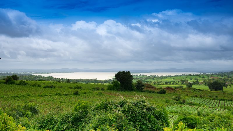 Nature photograph