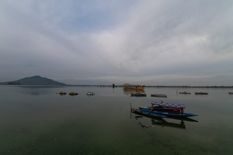 Nature photograph