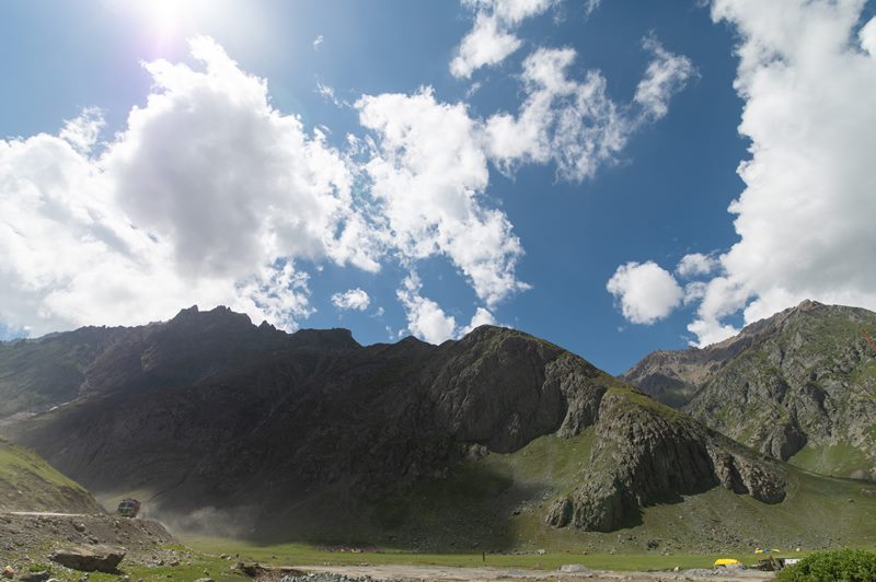 Nature photograph