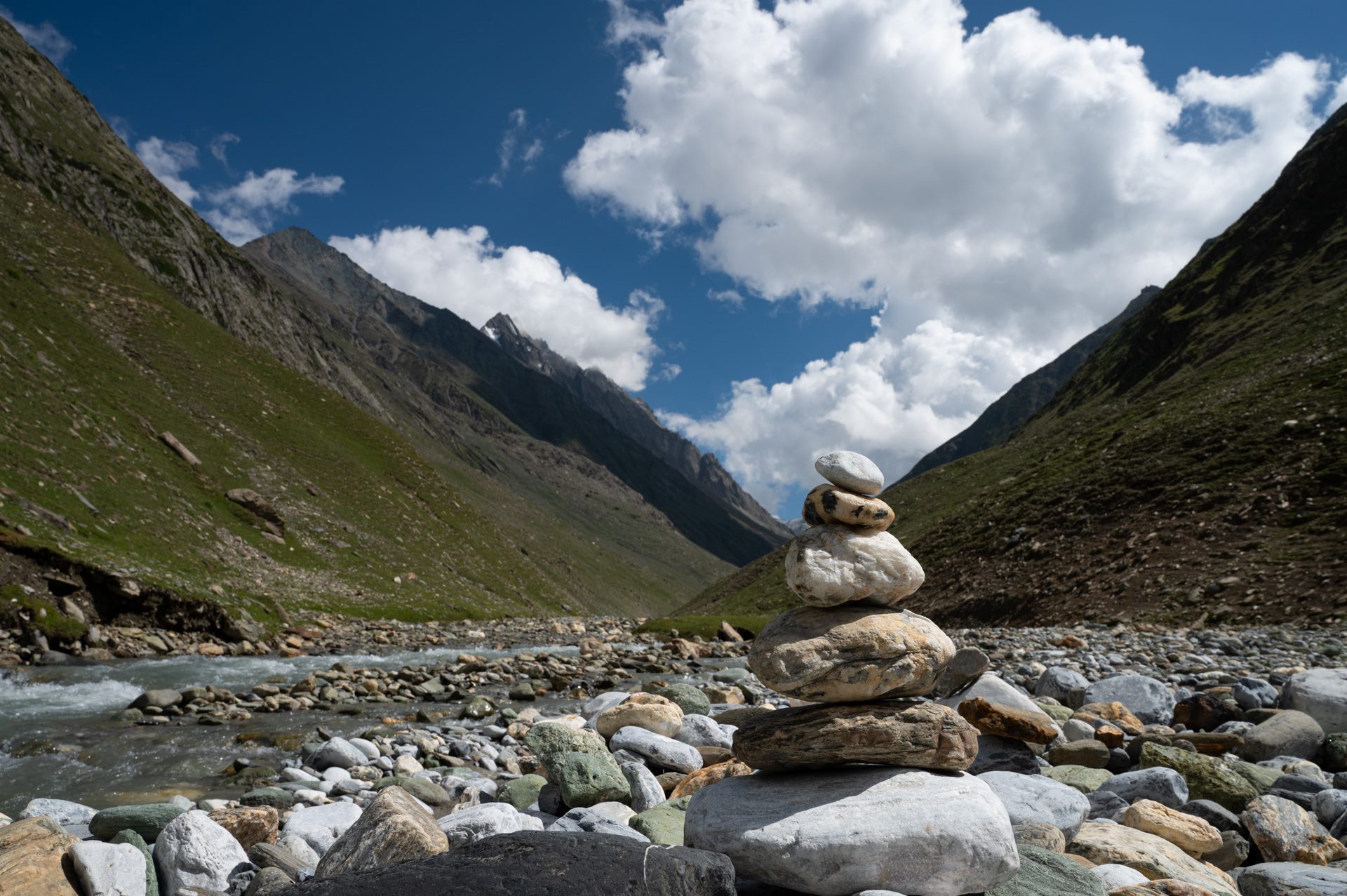Nature photograph