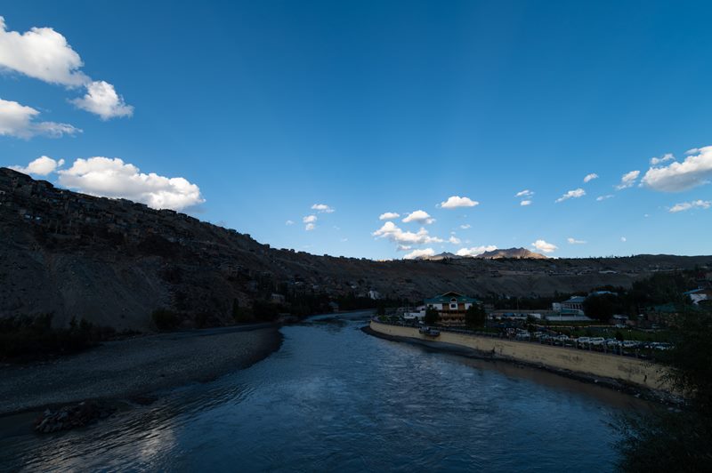 Nature photograph
