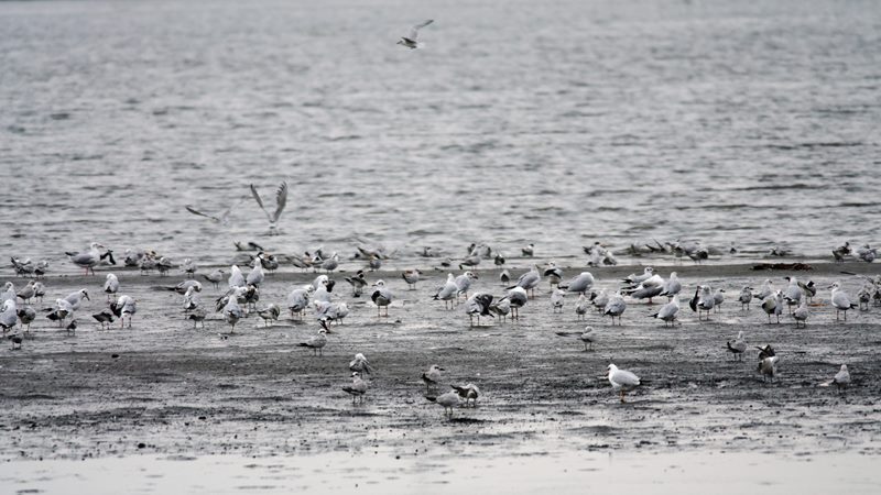 Nature photograph